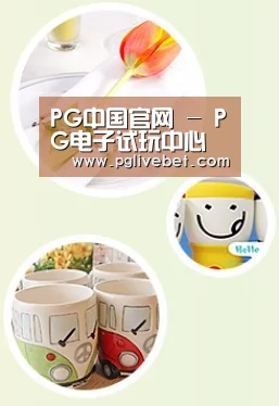 关于PG中国